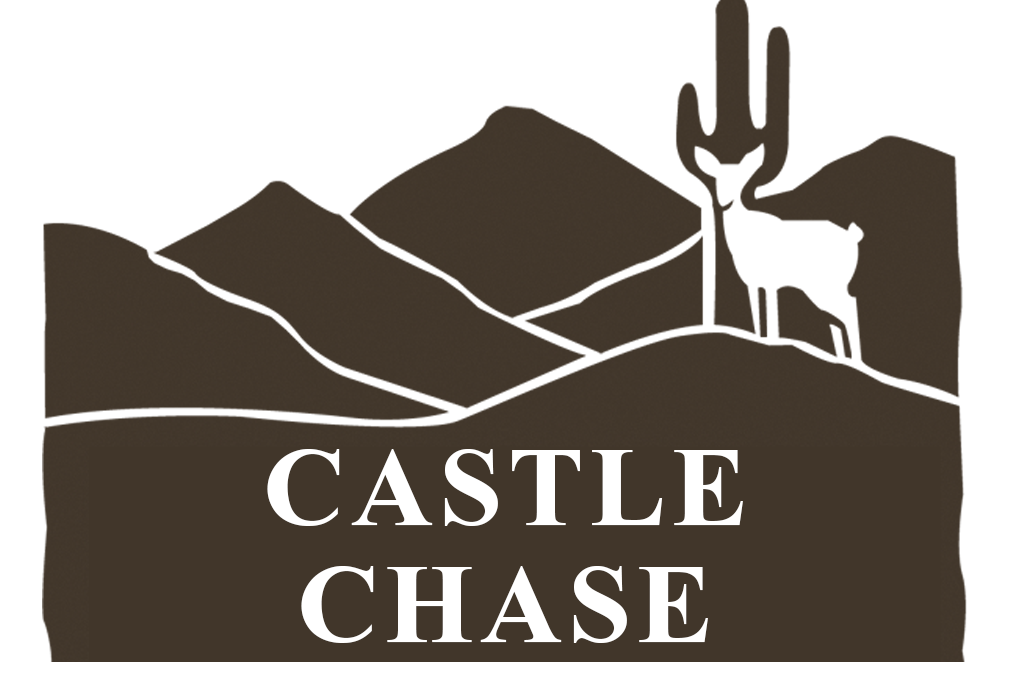 Castle Chase