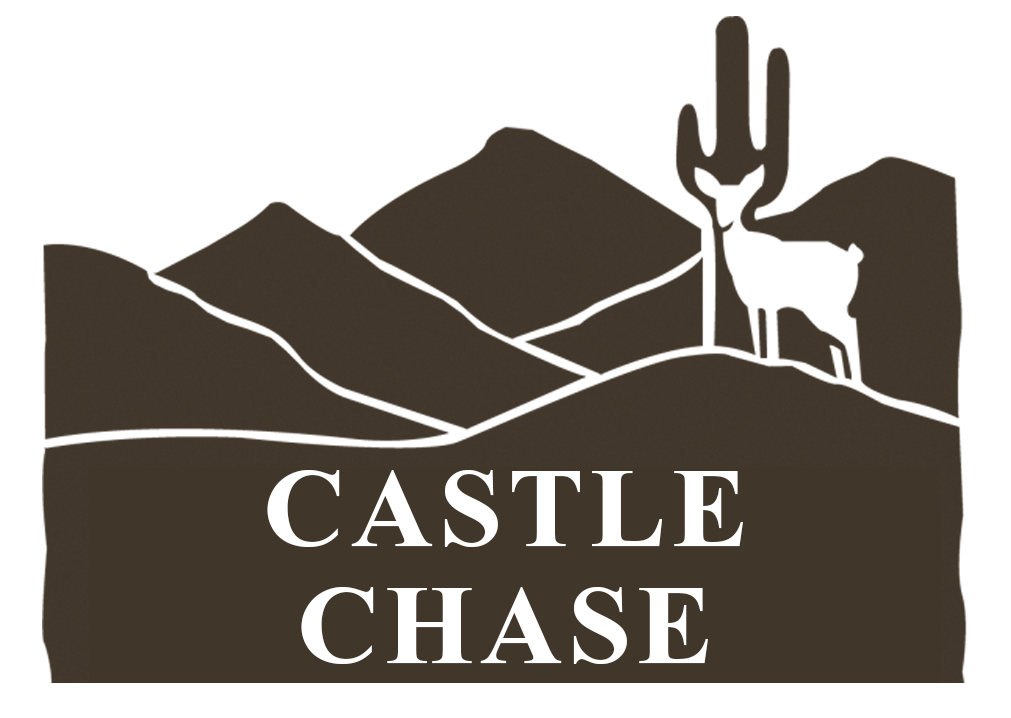 castle-chase-mcdowell-mountain-ranch