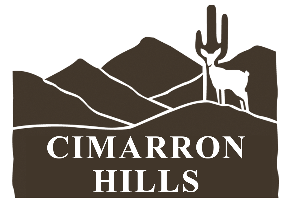 Cimarron Hills McDowell Mountain Ranch