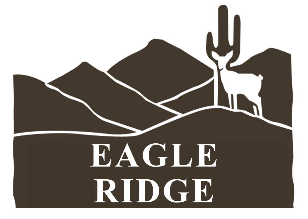 Eagle Ridge - McDowell Mountain Ranch